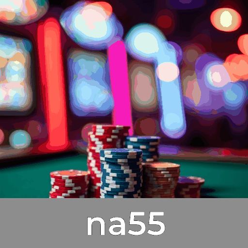 na55: Bônus e Ofertas Únicas e Incríveis Esperam por Você!